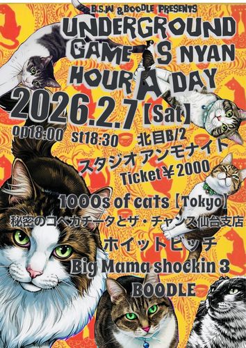 UNDERGROUND GAME IS ニャン🐱HOUR A DAY