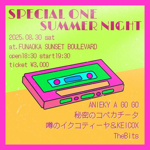 SPECIAL ONE SUMMER NIGHT